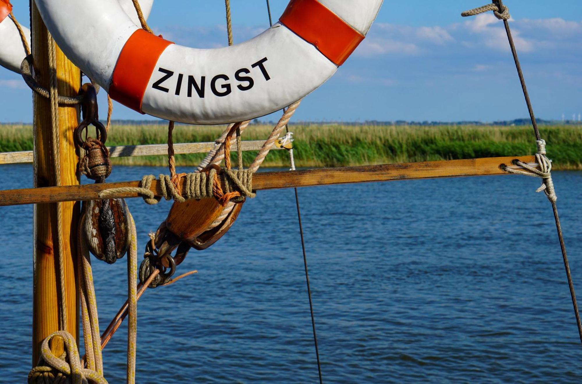 Krosse Krabbe An Der Seebruecke Zingst Dış mekan fotoğraf