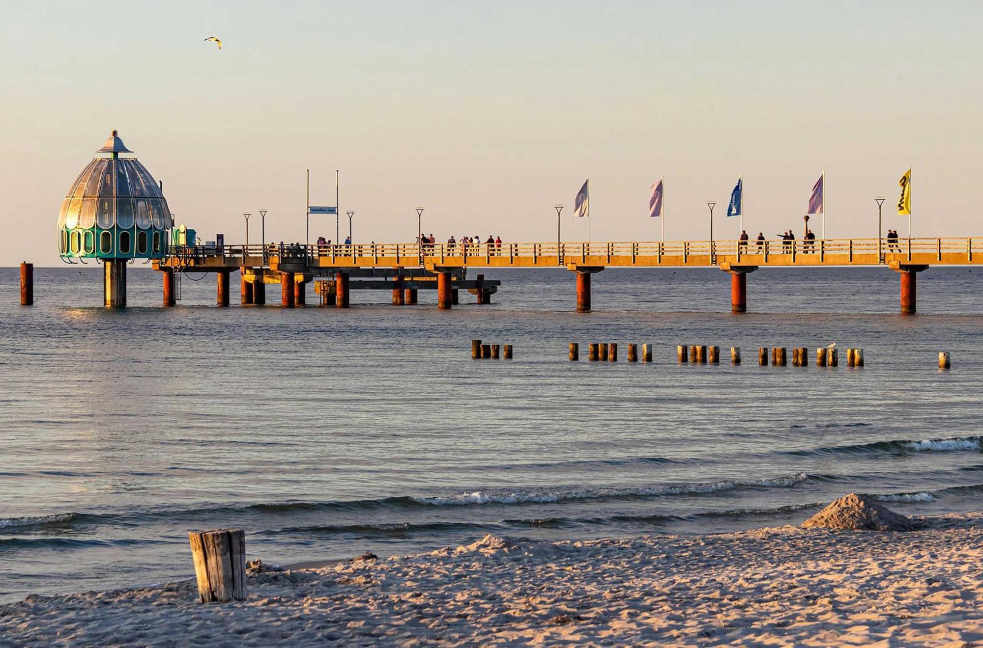 Krosse Krabbe An Der Seebruecke Zingst Dış mekan fotoğraf